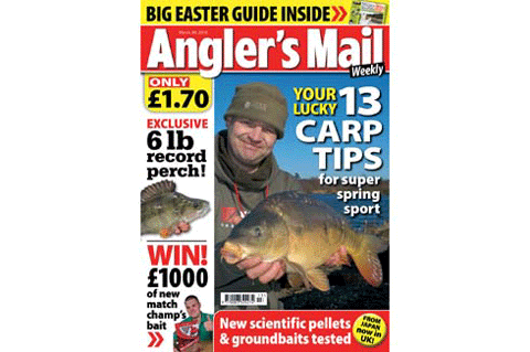 perch record sneak preview fishing total navigation